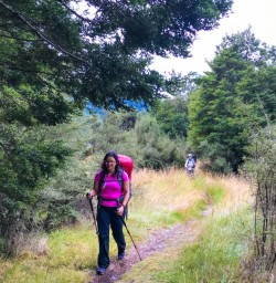 Hiking through bush Angelus Circuit