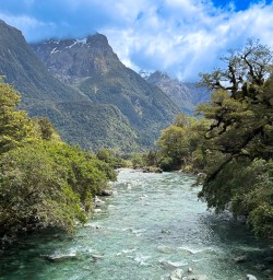 Hollyford Track hiking tour 