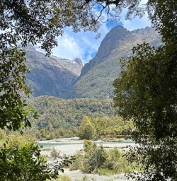 Hollyford Track hiking tour