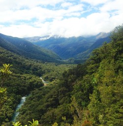 view of hollyford valley new zealand
