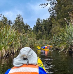 Kayak Lake Mapourika tour