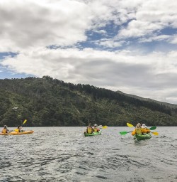 Kayak tour at Marlborough Sounds, New Zealand