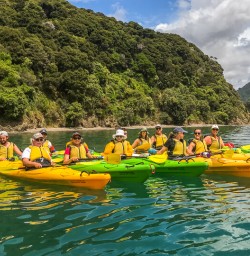 Kayaking group at Marlborough Sounds, New Zealand