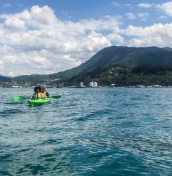 Kayaking the Marlborough Sounds, New Zealand