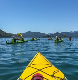 Kayaking the Marlborough Sounds, New Zealand