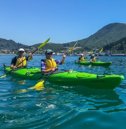Kayaking the Marlborough Sounds, New Zealand