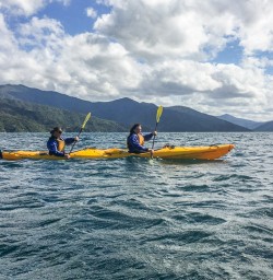 Kayaking Marlborough Sounds, New Zealand
