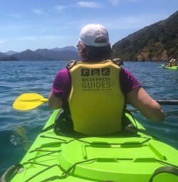Kayaking the Marlborough Sounds, New Zealand