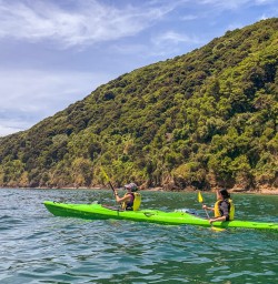 Kayaking the Marlborough Sounds, New Zealand