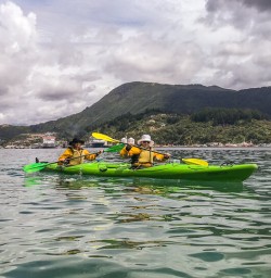 Kayaking the Marlborough Sounds, New Zealand
