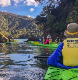 Kayaking the Queen Charlotte Sounds, Marlborough New Zealand