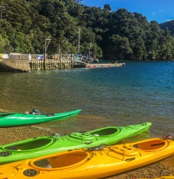 Kayaks at Lochmara Lodge, Marlborough Sounds, New Zealand