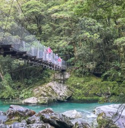 Lake Ada bridge, Milford Sound Fiordland National Park New Zealand