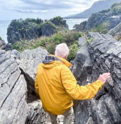 Limestone cliffs cape foulwind walkway