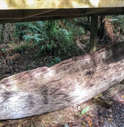 Maori Canoe at Martins Bay, Fiordland National Park Southland New Zealand