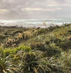 Martins Bay, Fiordland National Park Southland New Zealand