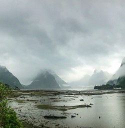 Milford Sound in clouds