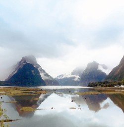 View on Milford Sound