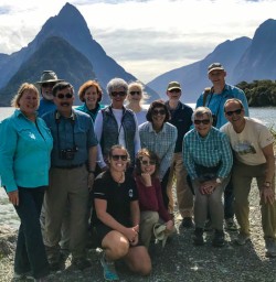 Milford Sound waterfront