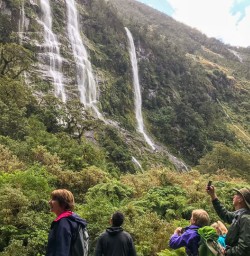 Cliffs on Milford Sound road, Fiordland New Zealand