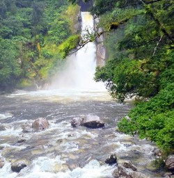 waterfall on the milford track