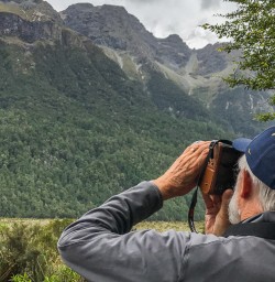 Mirror Lakes, Fiordland National Park Southland New Zealand