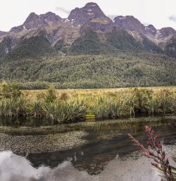 Mirror Lakes, Fiordland New Zealand