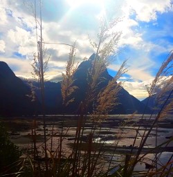 8 mitre peak milford sound fiordland