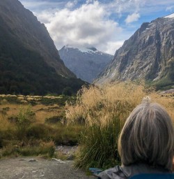 Monkey Creek, Fiordland New Zealand
