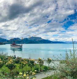 Queenstown botanic gardens view