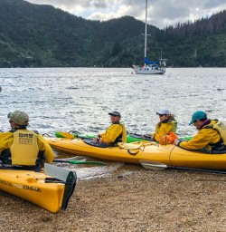 Ready to kayak the Marlborough Sounds, New Zealand