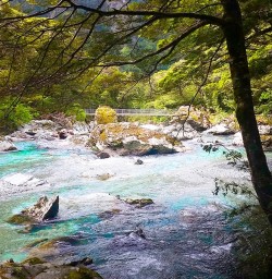 The Routeburn Track