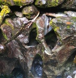 Looking down into the Chasm