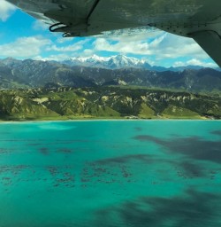 Scenic Flight along Kaikoura Coast, Canterbury New Zealand