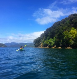 Kayaking out on the Queen Charlotte Sound
