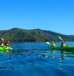 You just have to get out on the water at Queen Charlotte sound.