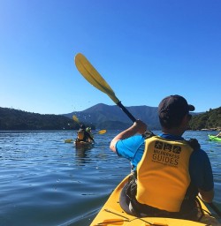 Sea Kayaking at Queen Charlotte Sound