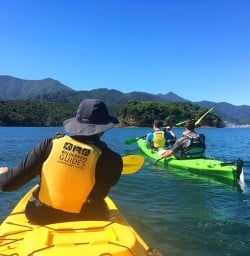 Sea Kayaking at Queen Charlotte Sound