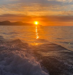 Sunrise from the boat at Kaikoura, New Zealand