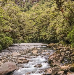 The Chasm Viewing Bridge, Fiordland New Zealand
