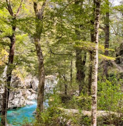8 the green and blue of the routeburn2