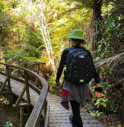 Torrent bay to Awaroa walking track
