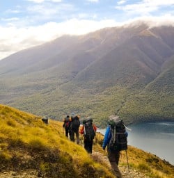 8. Bushline track views