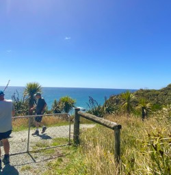 8. Cape Foulwind Walkway