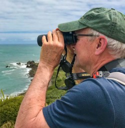 Views at Cape Foulwind