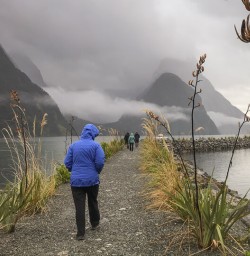 Walking at Milford Sound, Fiordland New Zealand