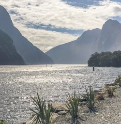 Walking at Milford Sound, Fiordland National Park Southland New Zealand