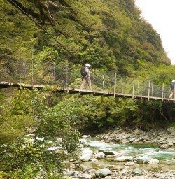 8. Swing bridge on the Hollyford Track