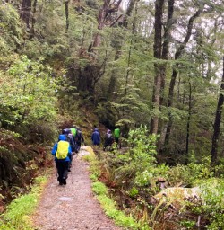 8. Routeburn Track