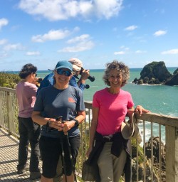 8. Cape Foulwind lookout
